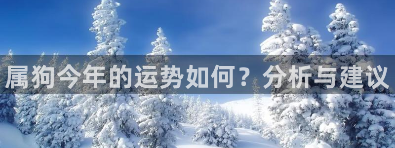 杏鑫娱乐能退款吗