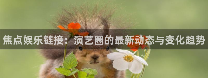 壹号玩家app下载