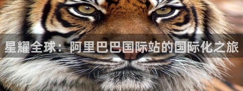 壹号app官网版下载