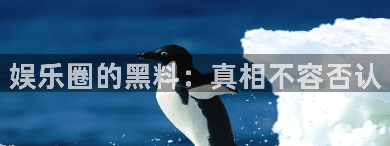 杏鑫娱乐app官网下载苹果