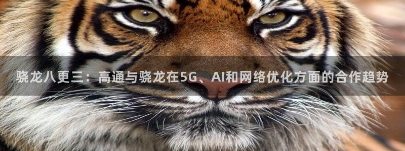 壹号app下载