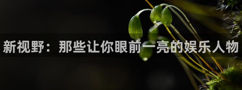 壹号官方app下载安装
