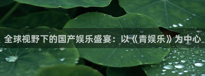 壹号官网app下载安装