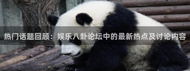 壹号大舞台娱乐app下载安装