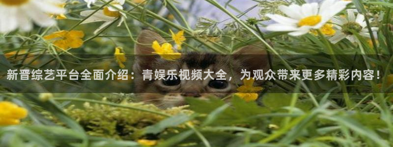 杏鑫娱乐app