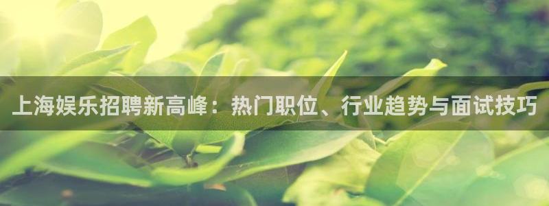 杏鑫娱乐官网入口