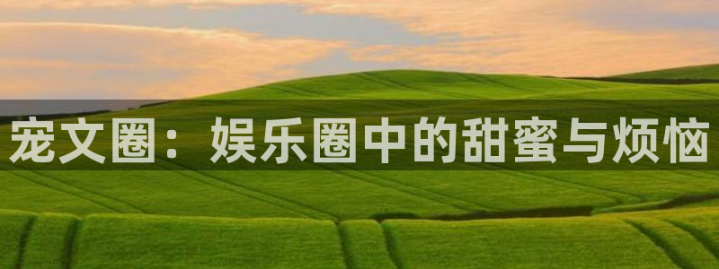 壹号官网app下载安装