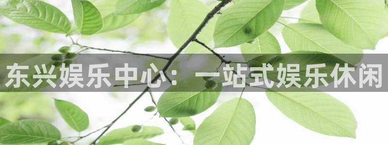 杏鑫娱乐平台app下载：东兴娱乐中心：一站式娱乐休闲