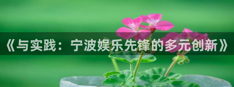 壹号top娱乐