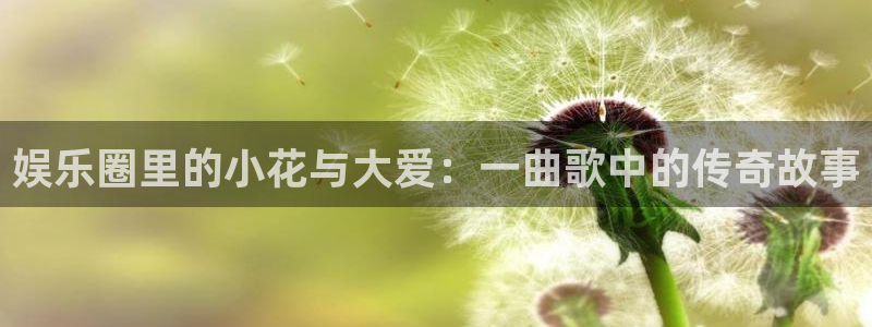 壹号官网app下载安装