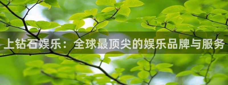 杏鑫娱乐,apk.1