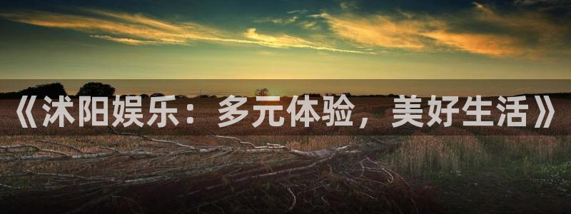 壹号注册入口app下载